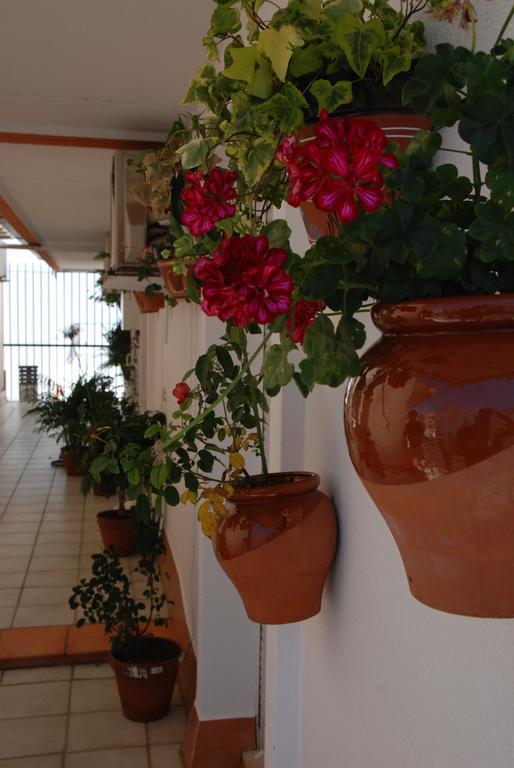 Hostal Puerto Lepe Exteriér fotografie